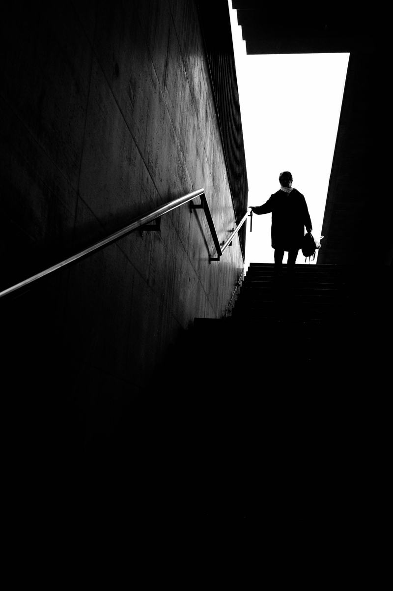 DSC_1582